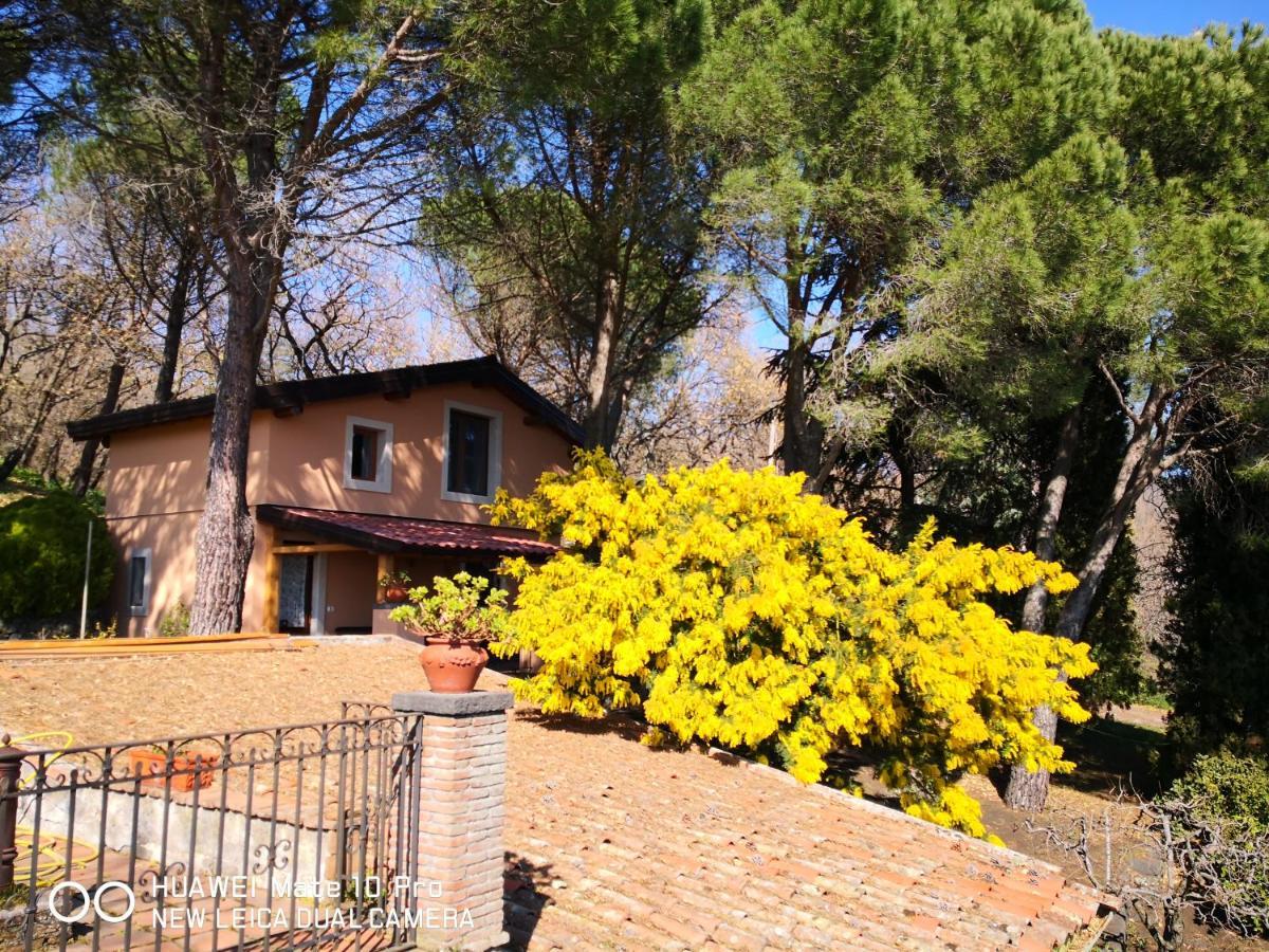 Feudo Algerazzi Villa ซัฟเฟรานา เอตเนอา ภายนอก รูปภาพ